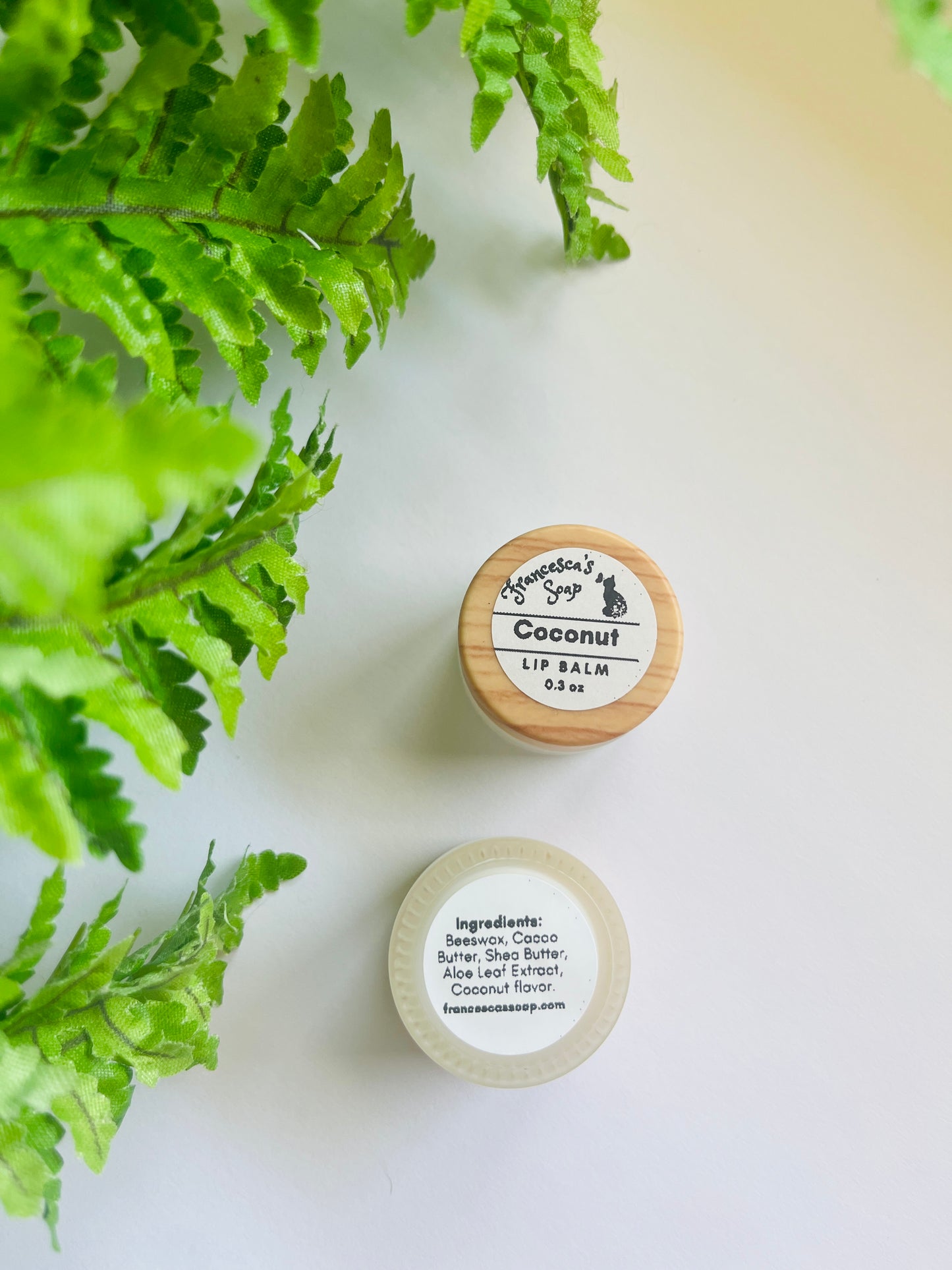 Coconut Lip Balm